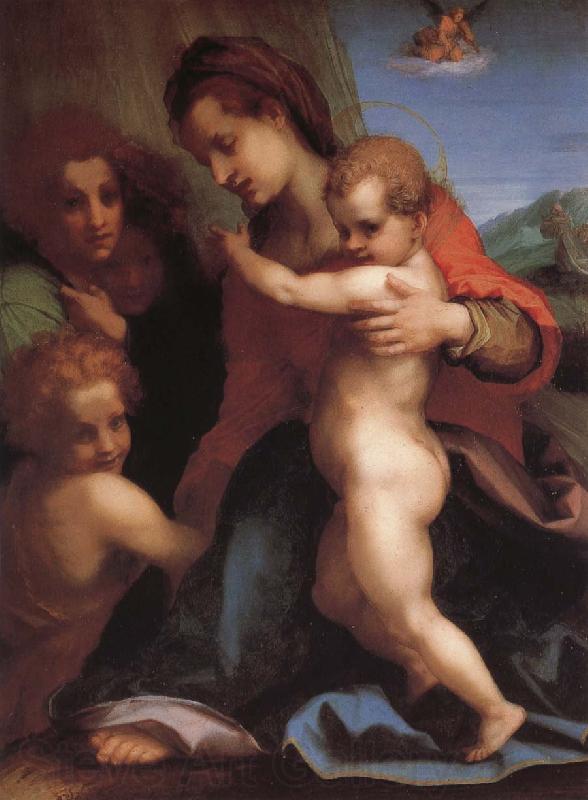 Andrea del Sarto Angel Norge oil painting art